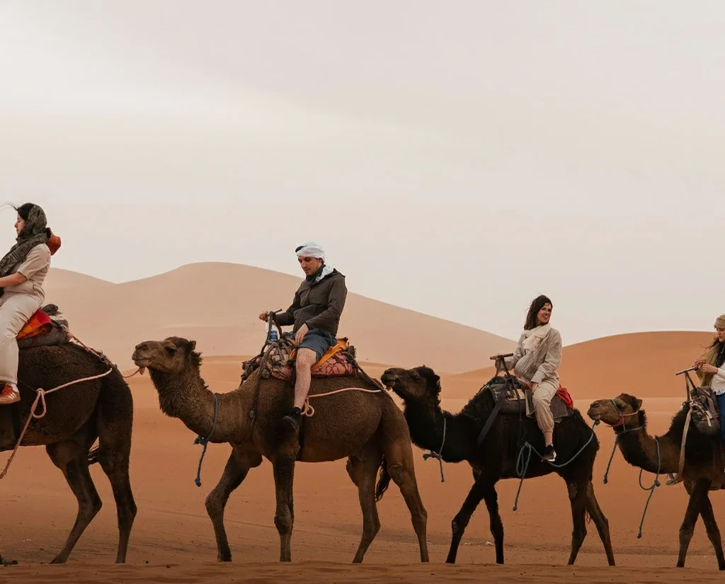 Xabbitours – Morocco Day Trips, Morocco Tours & Morocco Vacations