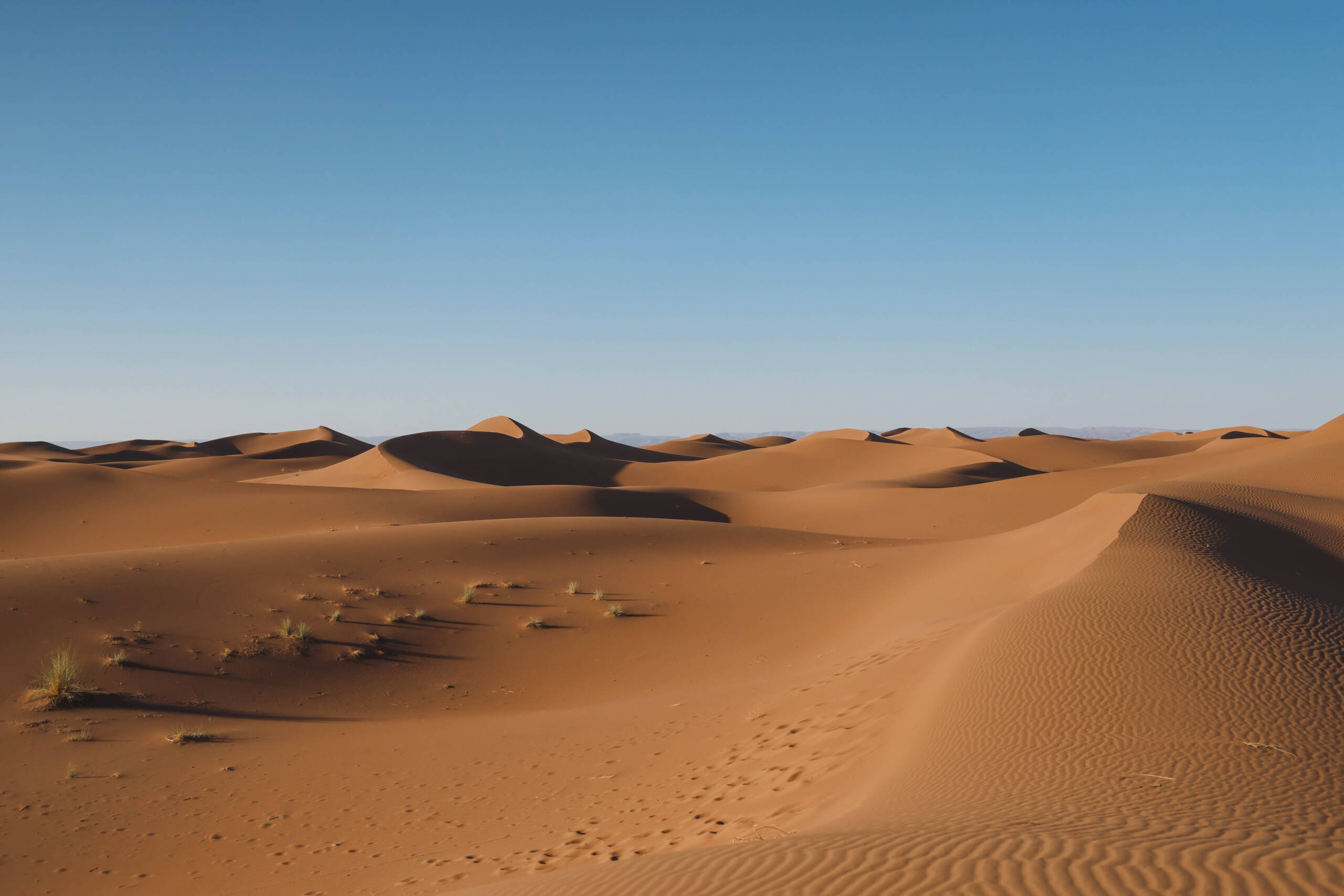 Sahara Soul treks