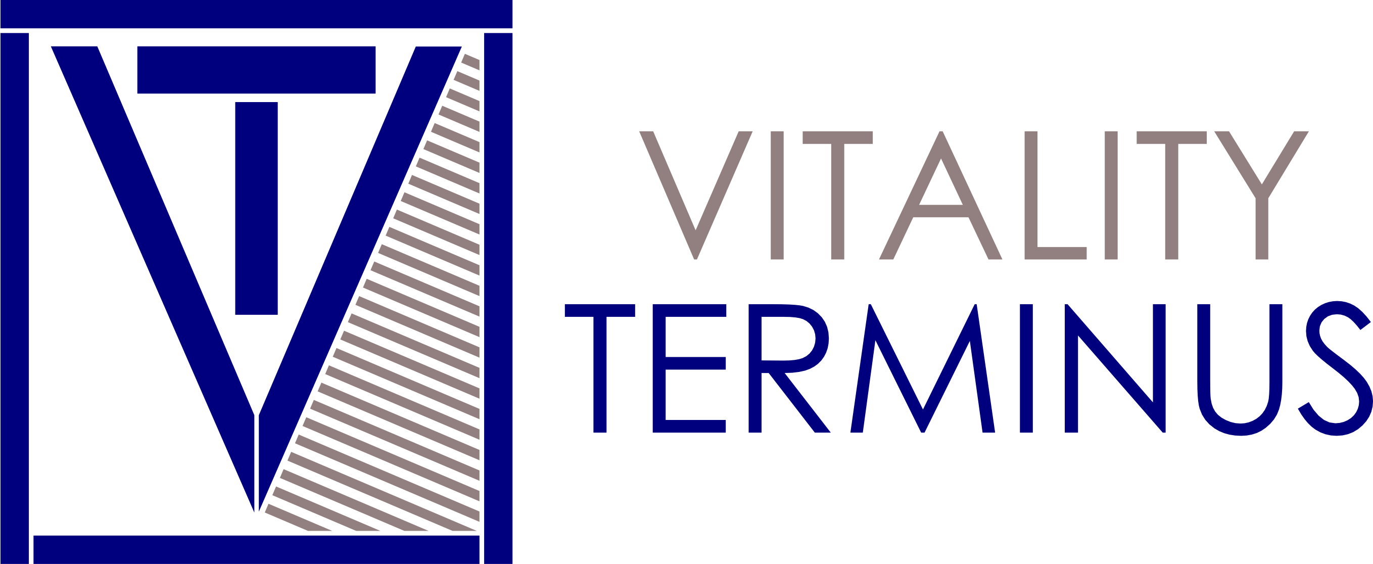 Logo de Vitality Terminus