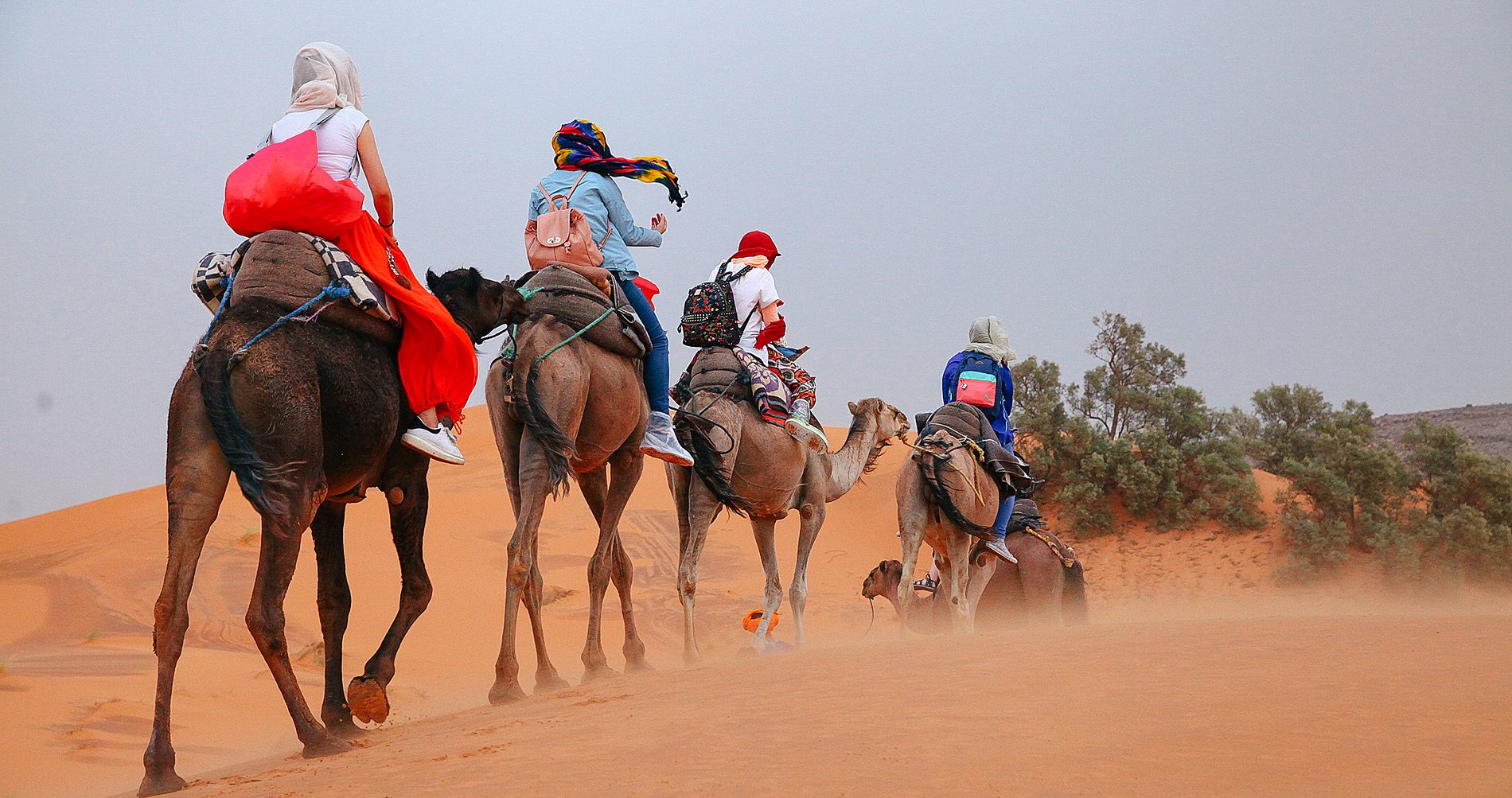 Morocco Top Trips