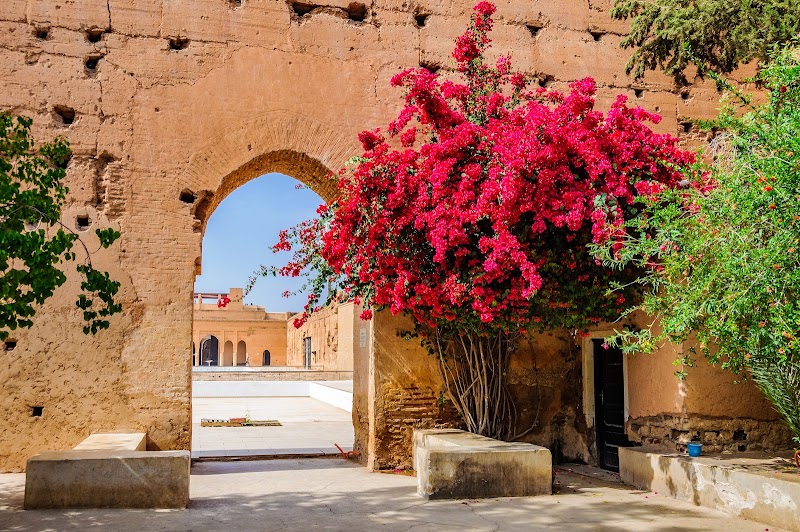 Elixir Morocco