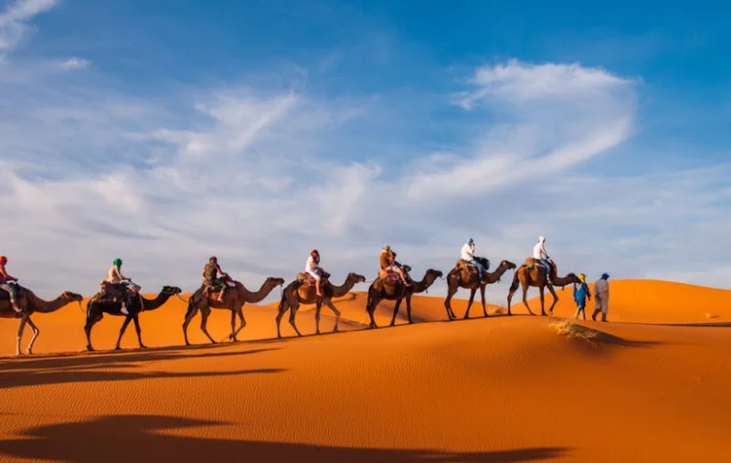Desert Explored - Morocco travel agency | Excursions in Marrakech | Marrakech Desert Tour |