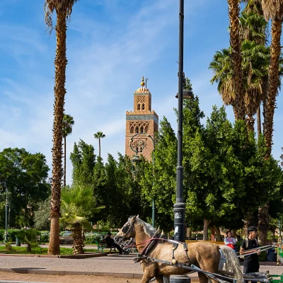 Moroccan Odyssey