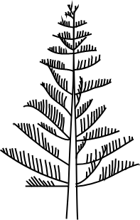 Les Jardins de Villa Maroc logo