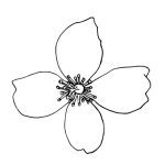 شعار Spa Fleur d'Oranger