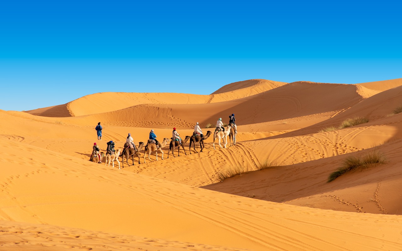 Marrakech desert tours Travel Service