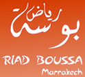 Riad BOUSSA logo