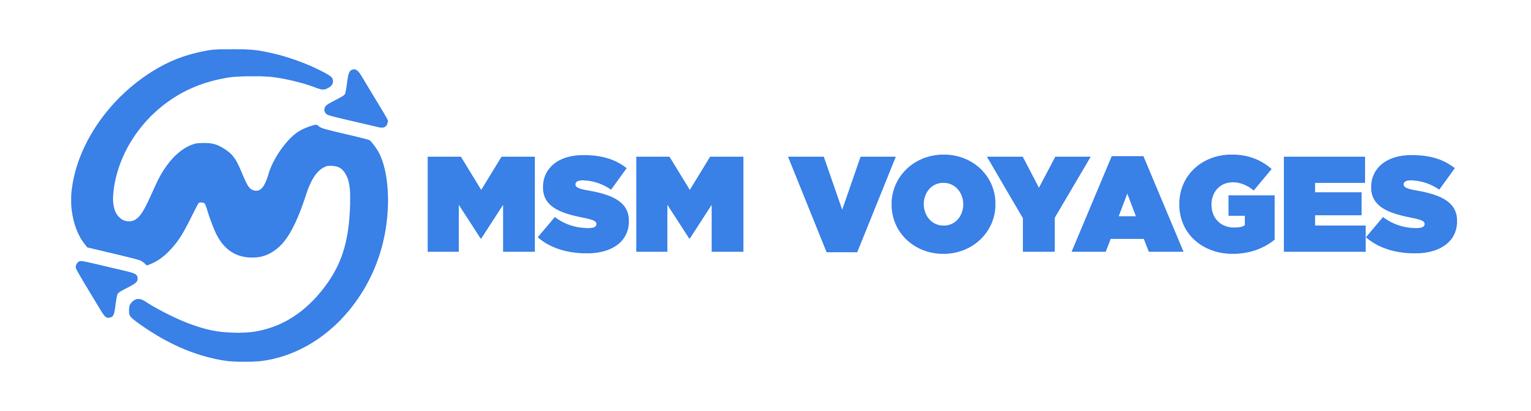 Logo de MSM Voyages