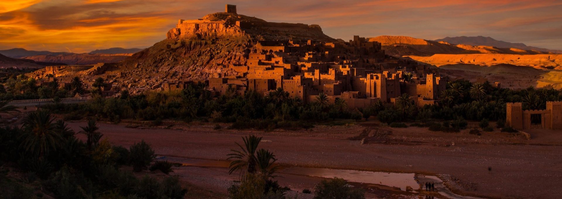 White Camel Tours