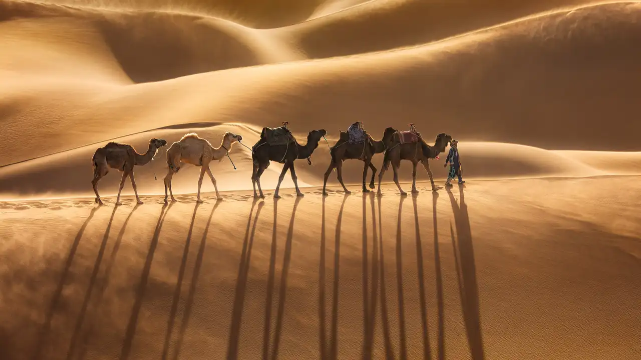 morocco essential tours