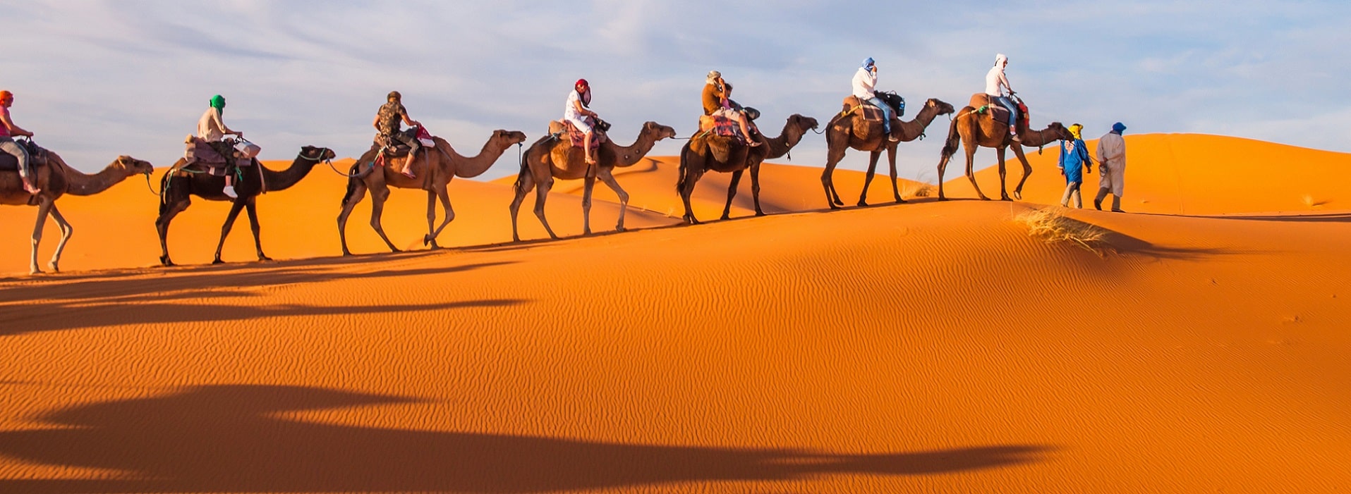 Trips Around Morocco (Official Travel Company)