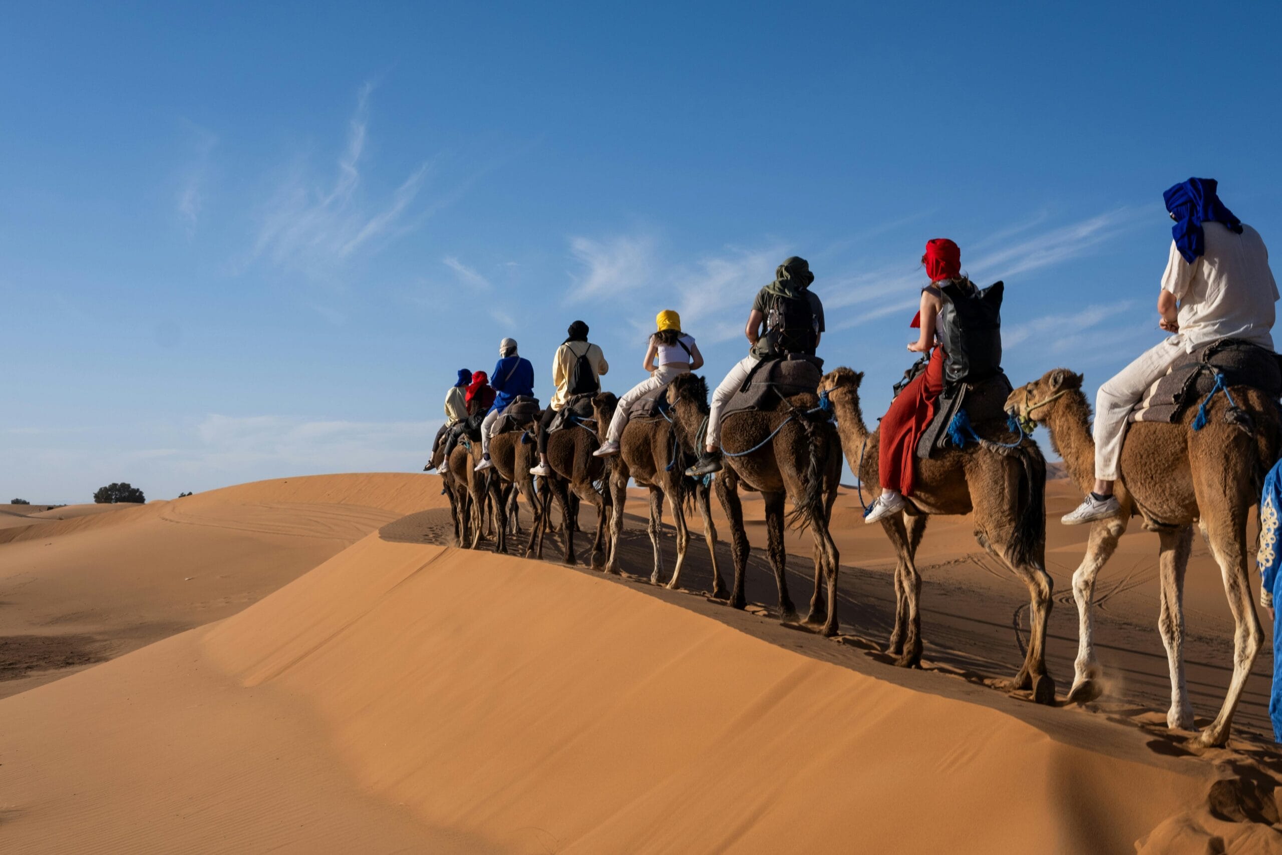 Morocco Trips Net