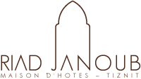 شعار RIAD JANOUB TIZNIT